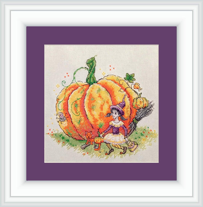 Pumpkin SP-06 - Wizardi