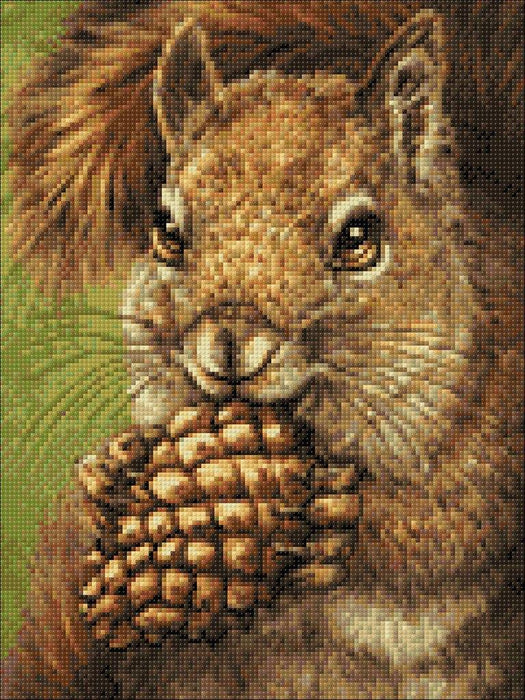 Diamond painting kit Squirrel Crafting Spark 14.9 x 10.6 in CS2567 - Wizardi