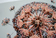 Weightless Tenderness Pink Dandelion Mini Bead Embroidery Kit AM-258 - Wizardi