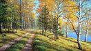 Autumn Landscape CS2606 27.6 x 15.8 inches Crafting Spark Diamond Painting Kit - Wizardi