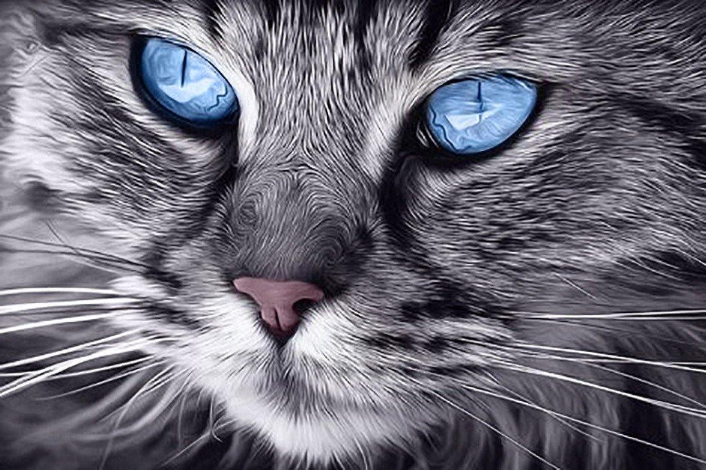 Blue-Eyed Cat CS2517 11.8 x 7.9 inches Crafting Spark Diamond Painting Kit - Wizardi
