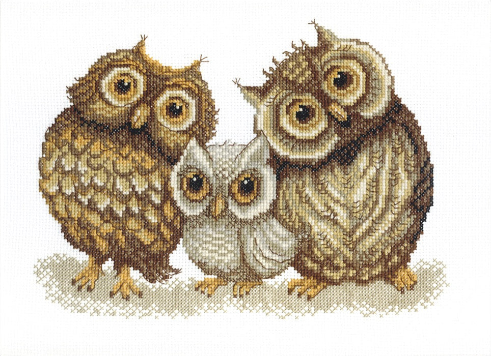 BT-067 Counted cross stitch kit Crystal Art "Family of owls"