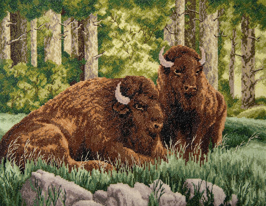 Counted cross stitch kit Bison M-520
